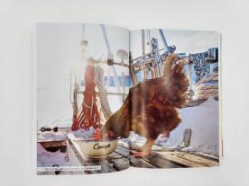 Barbara Neeb, Katharina Schmidt, Guirec Soudée: Seefahrt mit Huhn 