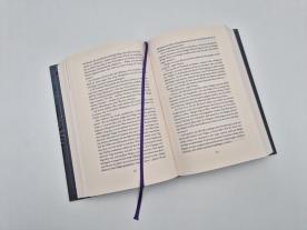 Sara Hashem, Michaela Link: The Jasad Crown 
