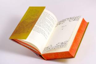 Barbara Imgrund, Tahereh Mafi: This Woven Kingdom 