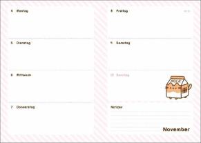 Heye: Pusheen 17-Monats-Kalenderbuch A5 2024/2025 