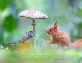 Vadim Trunov: Vadim Trunov: Märchenhaftes Waldleben Posterkalender 2026 