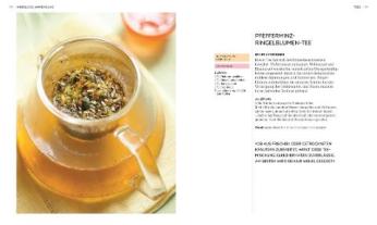 Reinhard Ferstl, Julia Behrens, Susan Curtis, Louise Green, Penelope Ody, Dragana Vilinac, DK Verlag: Das neue Praxisbuch Heilpflanzen 