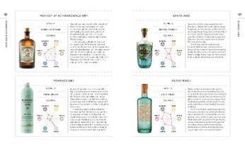 DK Verlag, Anthony Gladman: Workshop Gin 