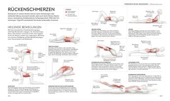 Wiebke Krabbe, Silke Schütze, DK Verlag, Ann Swanson: Yoga verstehen - Die Anatomie der Yoga-Haltungen 