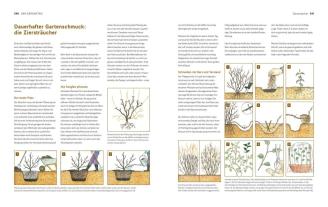 Marie-Luise Kreuter: Der Biogarten 