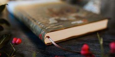 Adele Jabs: Healing - Aktiviere deine Selbstheilungskräfte und transformiere dein Leben! Innere Heilung durch Schamanismus und Medialität 