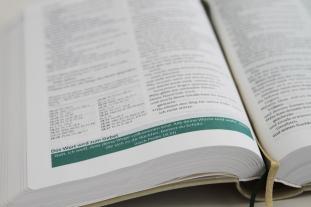 Joyce Meyer: Die Bibel mit Impulsen von Joyce Meyer, Kunstlederausgabe 