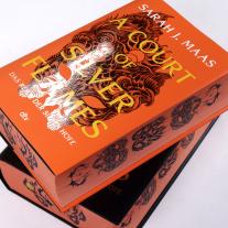 Franca Fritz, Heinrich Koop, Sarah J. Maas: A Court of Silver Flames 