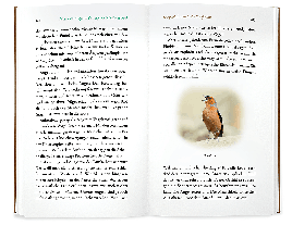 Philippe J. Dubois, Élise Rousseau: Kleine Philosophie der Vögel 