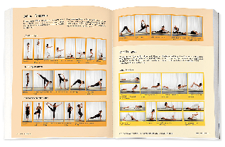 Inge Schöps: Yoga - Das große Praxisbuch für Einsteiger & Fortgeschrittene 