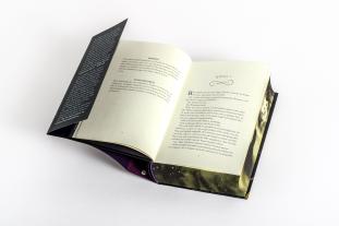 Nadine Pauli, Julia Schwenk, Sable Sorensen: Dire Bound 