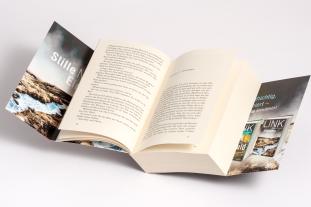 Charlotte Link: Einsame Nacht 