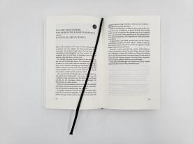 Anja Lerz, Ursula Pesch, Brianna Wiest: 101 Essays, die dein Leben verändern werden 