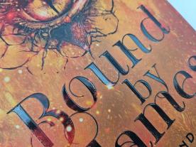 Liane Mars: Bound by Flames 