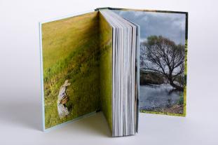 Leoniek Bontje, Yvet Noordermeer: Wildpflanzen essen 