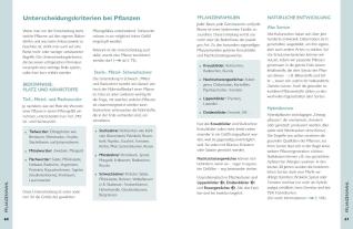 Ulrike Windsperger: Permakultur auf dem Balkon 