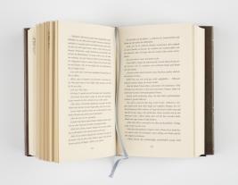 Julia Dippel: Izara 1: Das ewige Feuer 