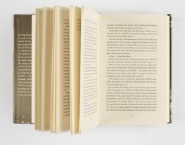 Julia Dippel: Izara 4: Verbrannte Erde 