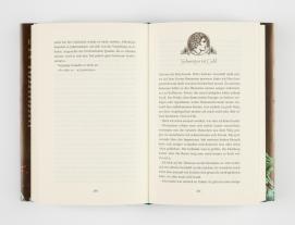 Julia Dippel: Belial 1: Götterkrieg 