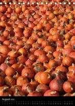 Joachim Barig: Kürbis: gesund · schmackhaft · dekorativ (Tischkalender 2023 DIN A5 hoch) 