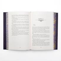 Michaela Kolodziejcok, Stacia Stark: Kingdom of Lies 