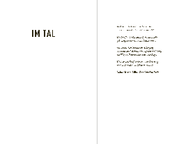 Tommie Goerz: Im Tal 
