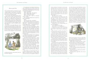 Clive Staples Lewis, Pauline Baynes: Die Chroniken von Narnia - Illustrierte Gesamtausgabe (Die Chroniken von Narnia, Bd.) 