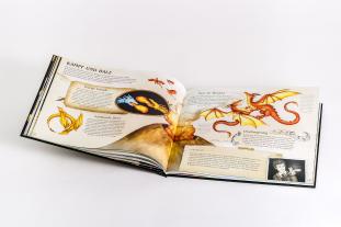 Jessica Roux, Cornelius Hartz, Emily Hawkins: Das große Handbuch der Drachen 