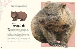 Ben Hoare, DK Verlag - Kids: Wundervolle Welt der Natur 