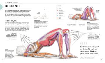 Anke Wellner-Kempf, DK Verlag, Ingrid S. Clay: HIIT - Die Anatomie verstehen 