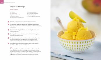 Yüksel Saier: Die Eis-Bibel 