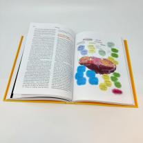 Corinna Rodewald, Arielle Dr. Johnson, Arielle Johnson: Flavorama 