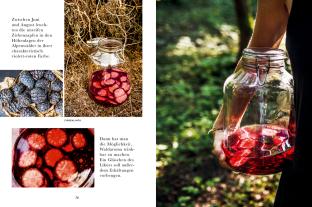 Bernadette Wörndl: Das Wald-Kochbuch 