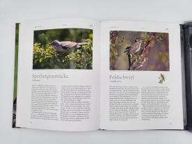 Einhard Bezzel, Jan Pedersen, Lars Svensson: Vogelstimmen 