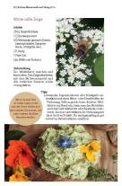 Gertraud Heidinger: Bienenschätze – Honig, Pollen, Propolis & Co. 