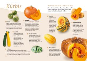 Wort & Bild Verlag, Wort & Bild Verlag: Senioren Ratgeber: Schnelle, frische Küche für zwei 