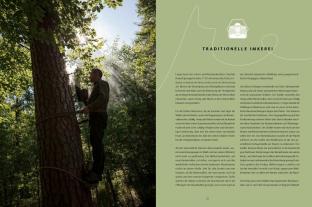 Ingo Arndt, Jürgen Prof. Dr. Tautz, Jürgen Tautz: Honigbienen - geheimnisvolle Waldbewohner 