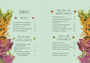 Chae Strathie, Erin Brown: Wunderwelt der Tiere im Meer 