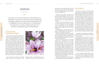 Nadja Bacac, Marija Kocevar, Sanja Loncar, Sabina Topolovec: Eine Prise Weisheit 